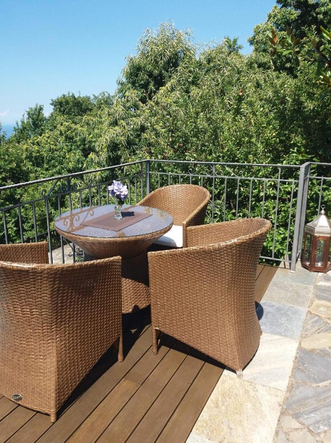 Aroma Piliou - Άρωμα Πηλίου Hotel Mourésion Eksteriør billede
