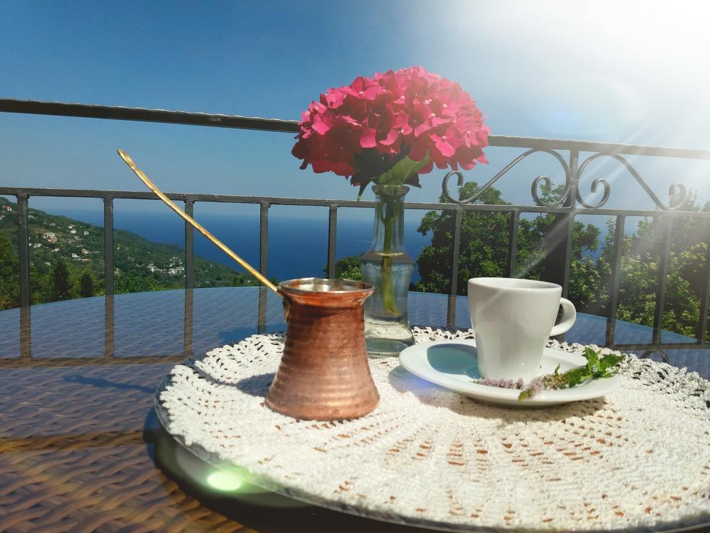 Aroma Piliou - Άρωμα Πηλίου Hotel Mourésion Eksteriør billede